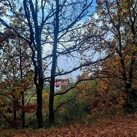 Odysseas Kerasea (Karditsa)